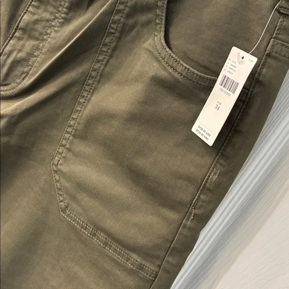 The Rylan Relaxed High Rise Flare Pants by Pilcro in Dried Fern, size 34, NWT - Picture 8 of 13